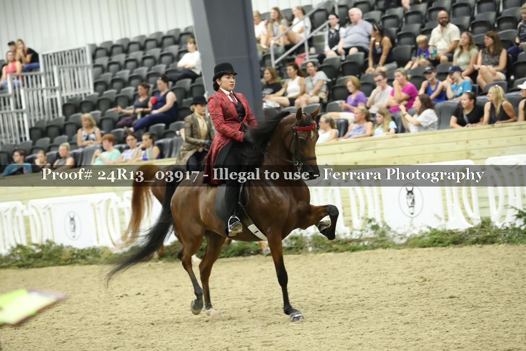 Proof 24R13_03917