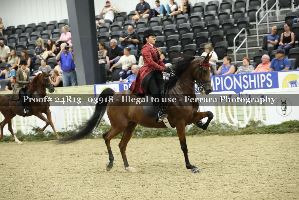 Proof 24R13_03918