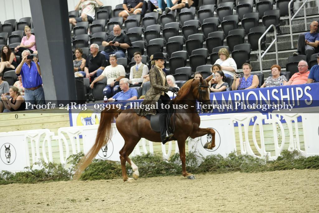 Proof 24R13_03919