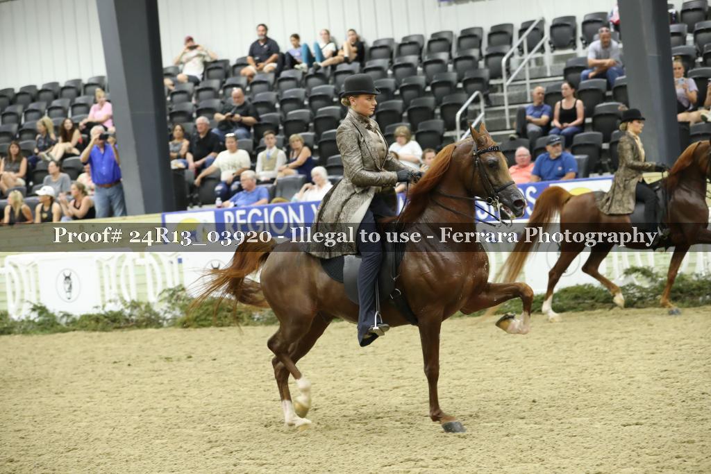 Proof 24R13_03920