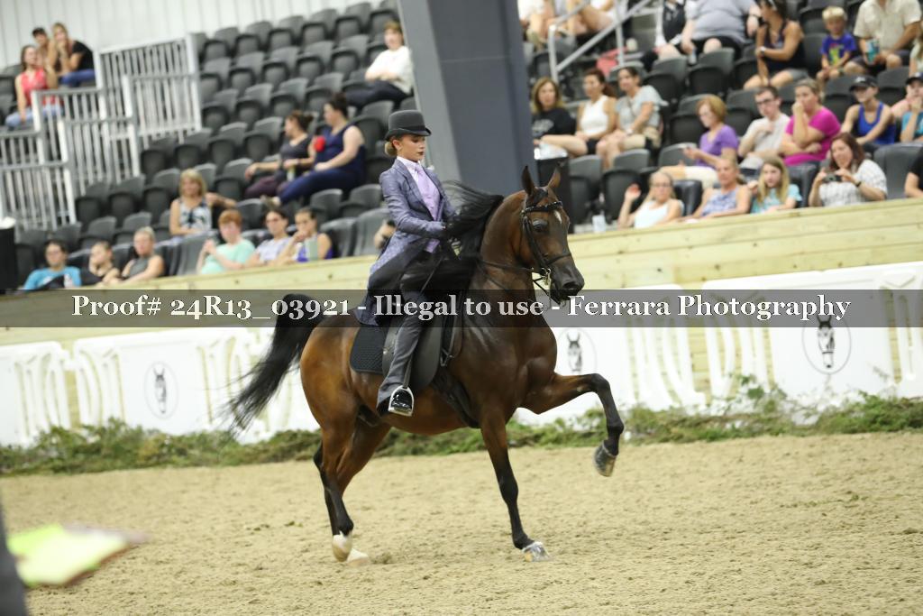 Proof 24R13_03921
