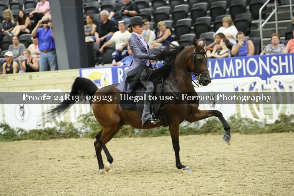 Proof 24R13_03923