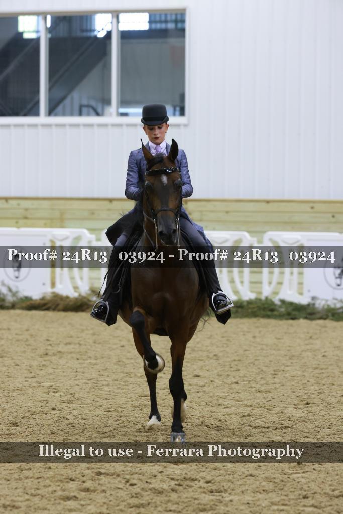 Proof 24R13_03924
