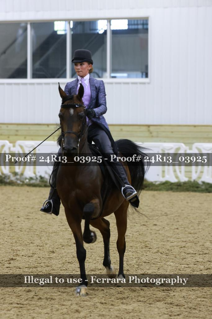 Proof 24R13_03925