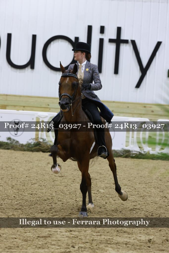 Proof 24R13_03927