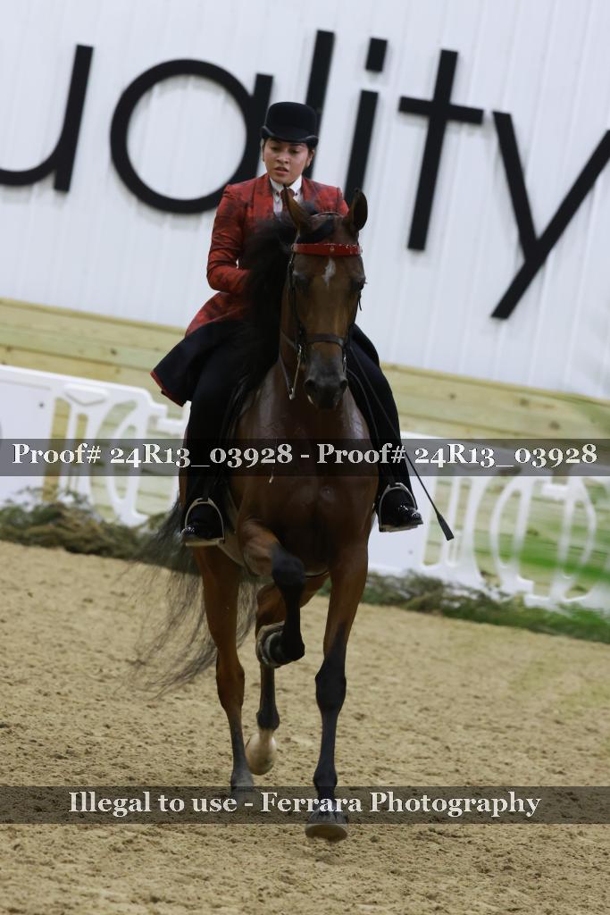Proof 24R13_03928