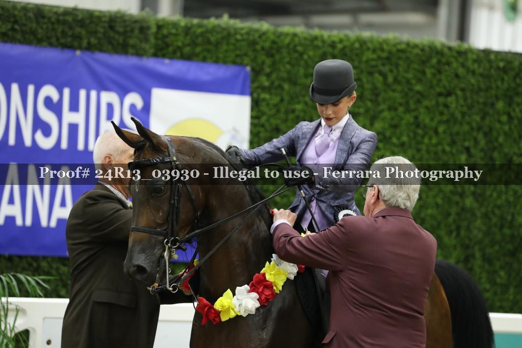 Proof 24R13_03930