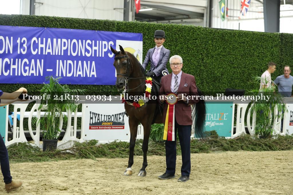 Proof 24R13_03934