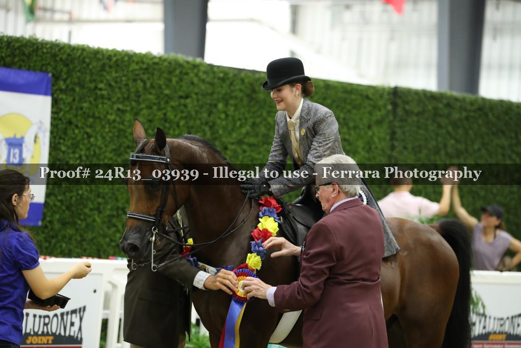 Proof 24R13_03939