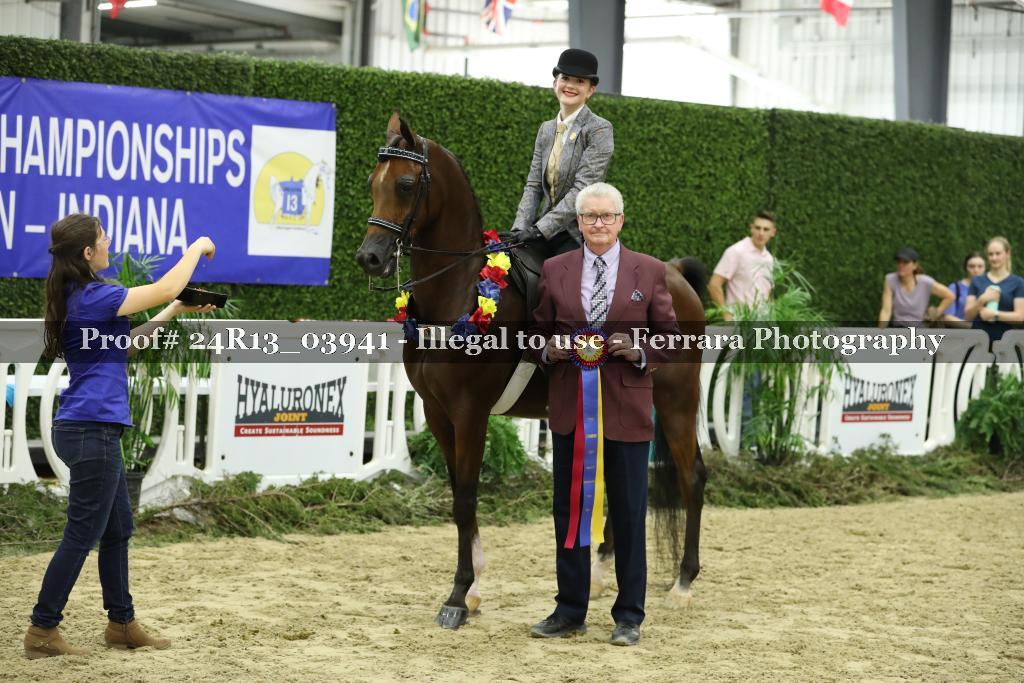 Proof 24R13_03941