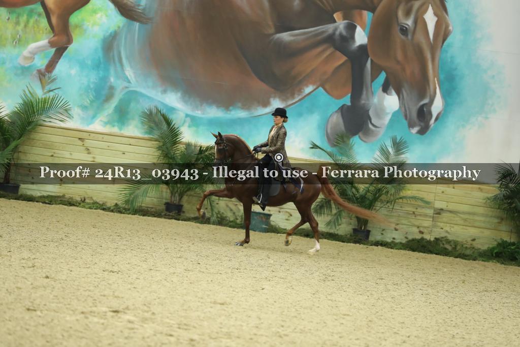 Proof 24R13_03943