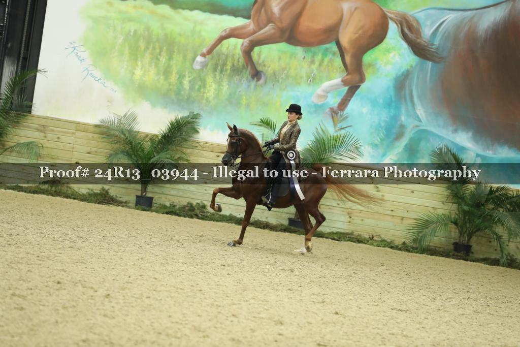 Proof 24R13_03944