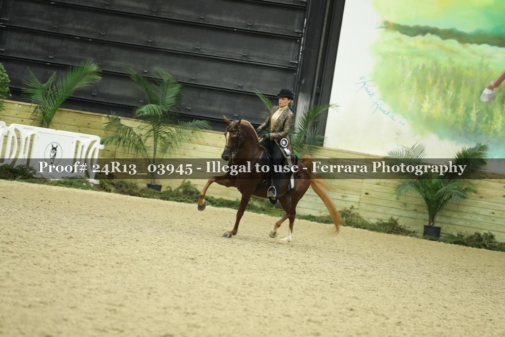 Proof 24R13_03945