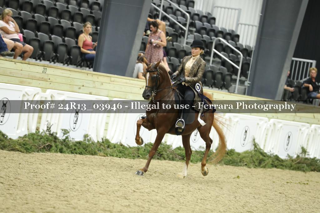 Proof 24R13_03946