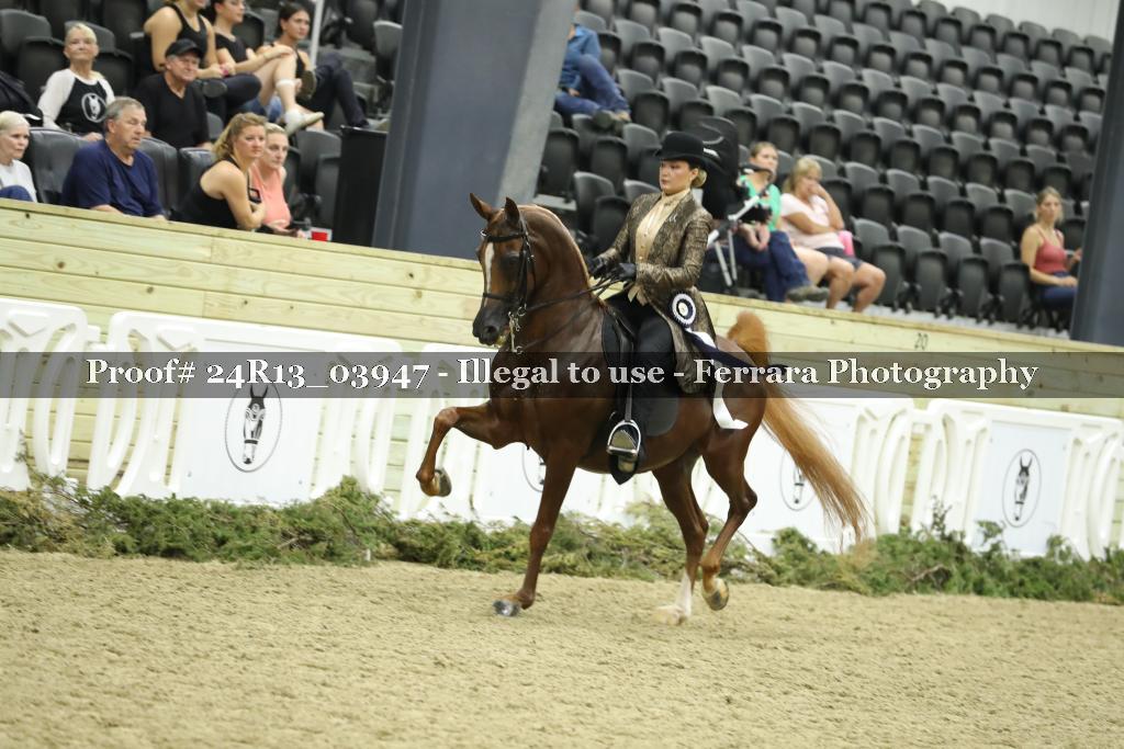 Proof 24R13_03947