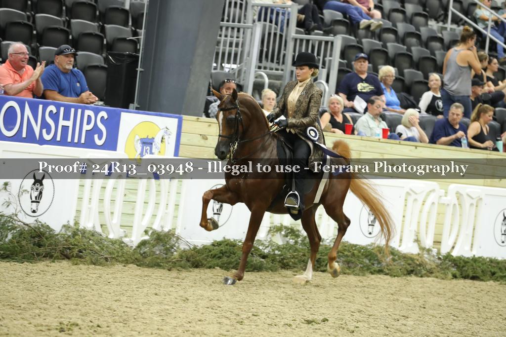 Proof 24R13_03948