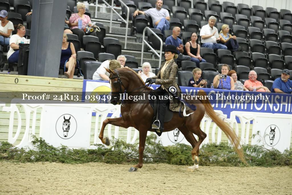 Proof 24R13_03949