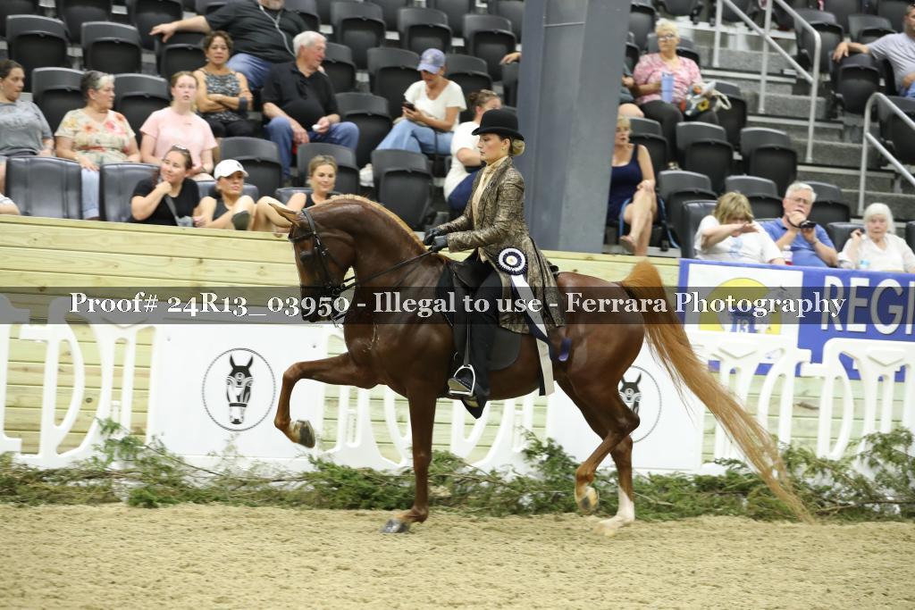 Proof 24R13_03950