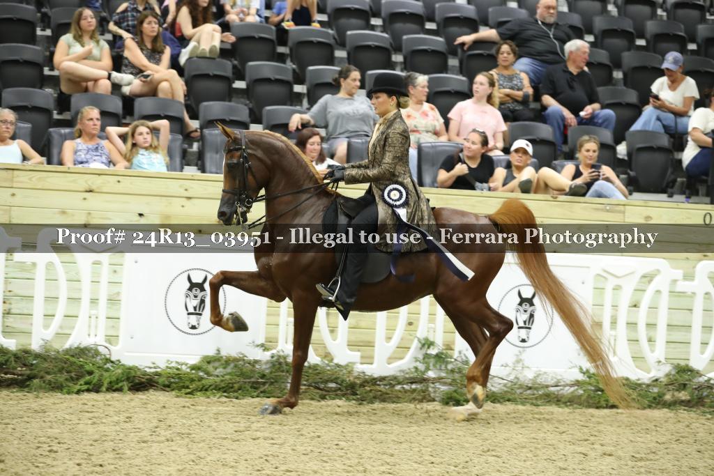 Proof 24R13_03951