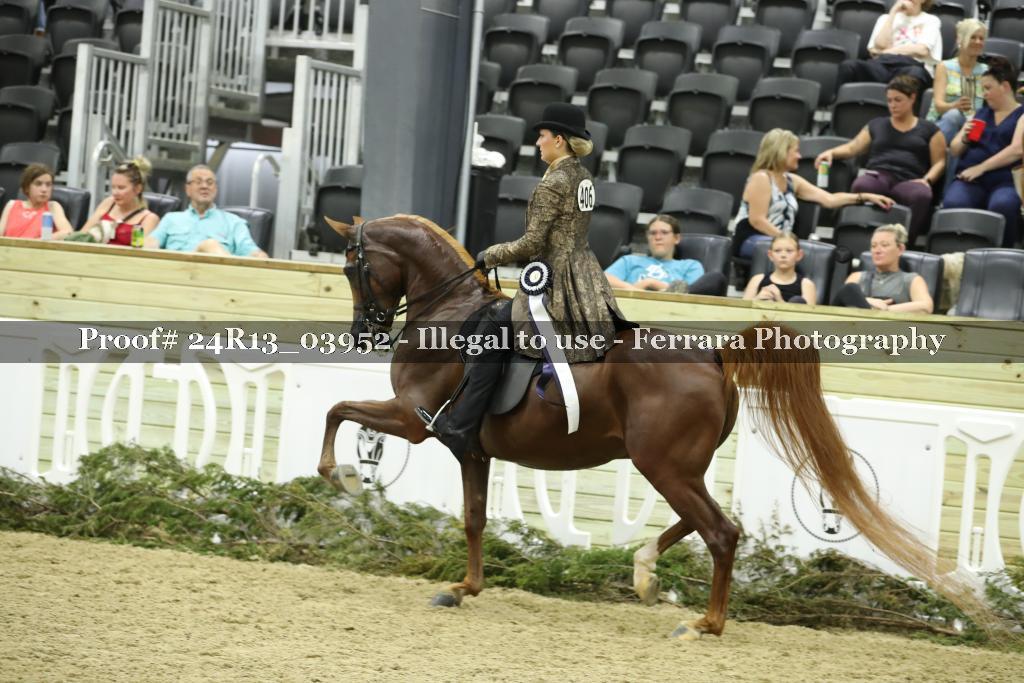 Proof 24R13_03952
