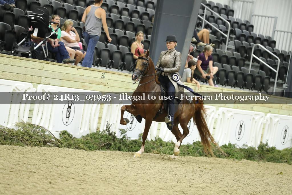 Proof 24R13_03953