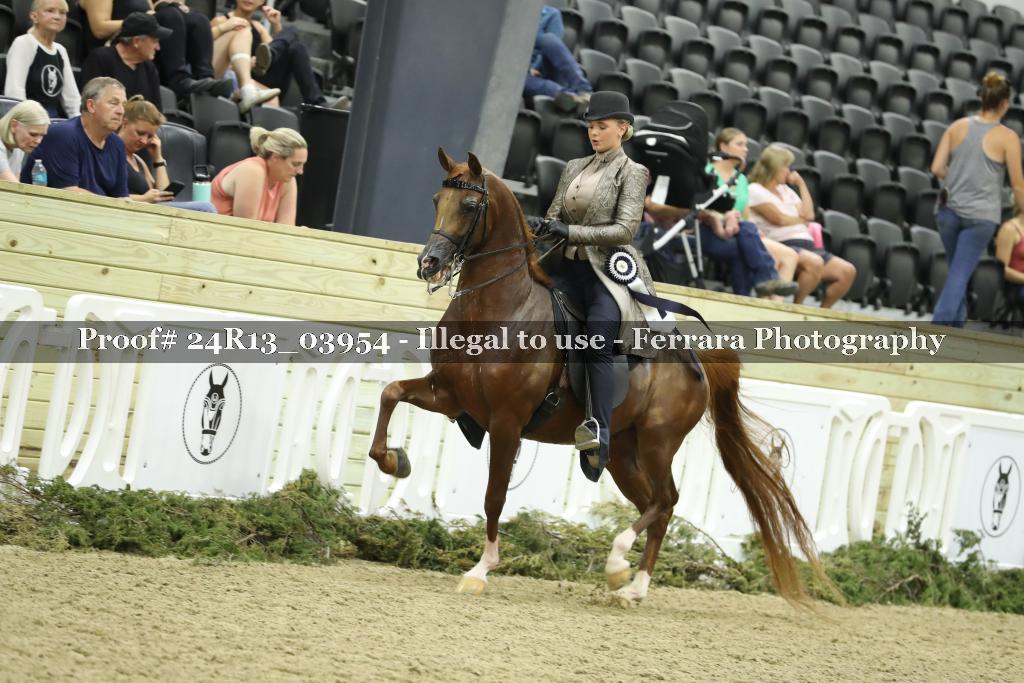 Proof 24R13_03954