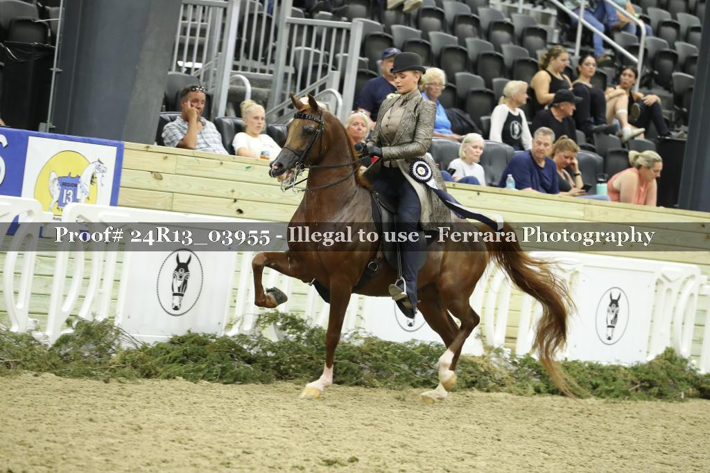 Proof 24R13_03955