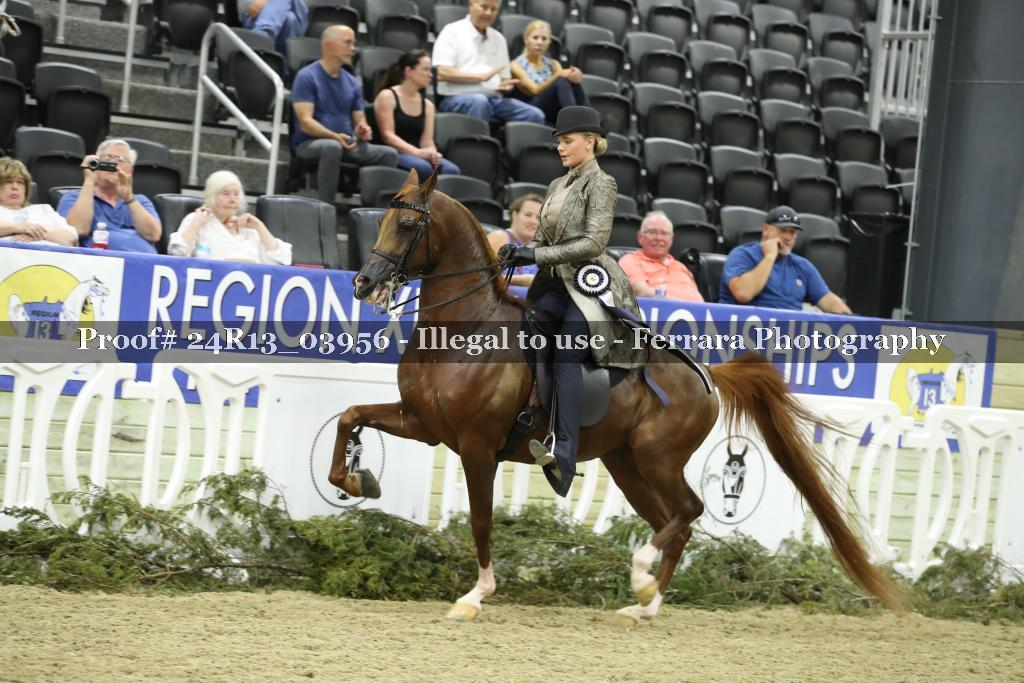 Proof 24R13_03956