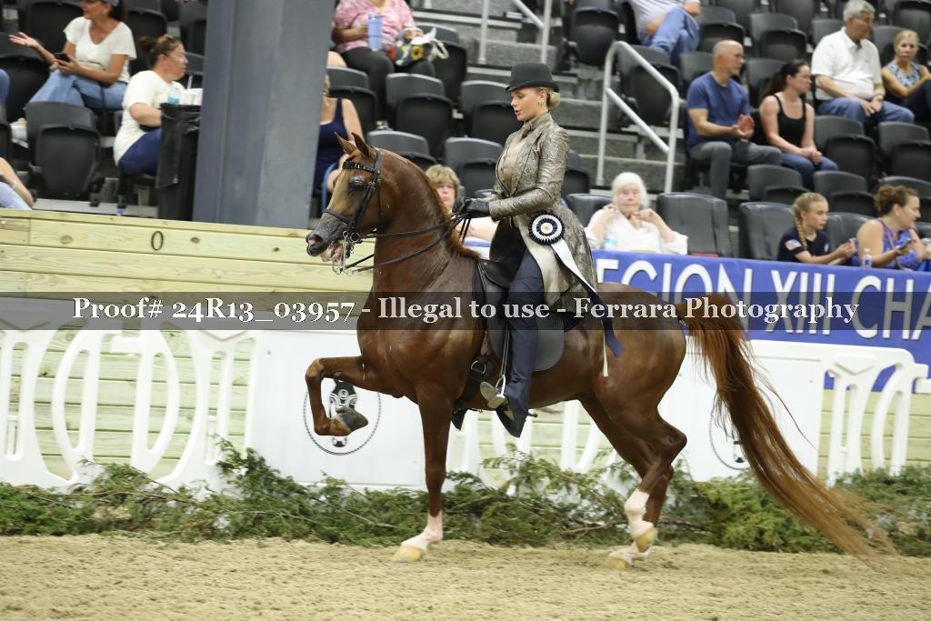 Proof 24R13_03957