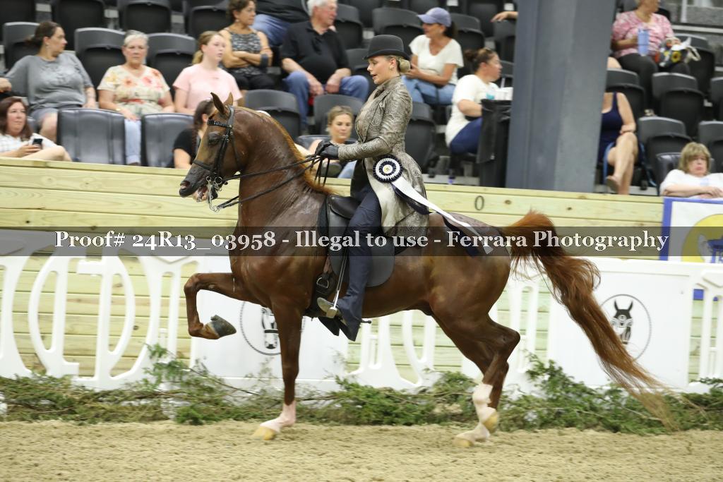 Proof 24R13_03958