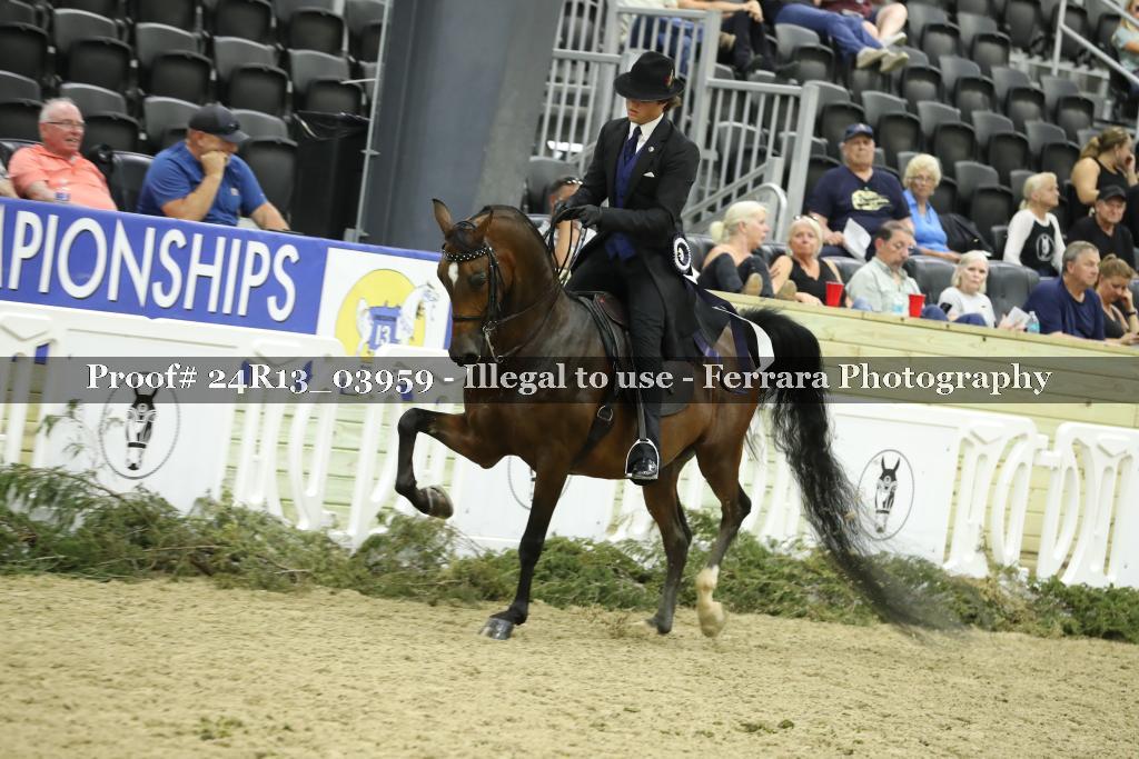 Proof 24R13_03959