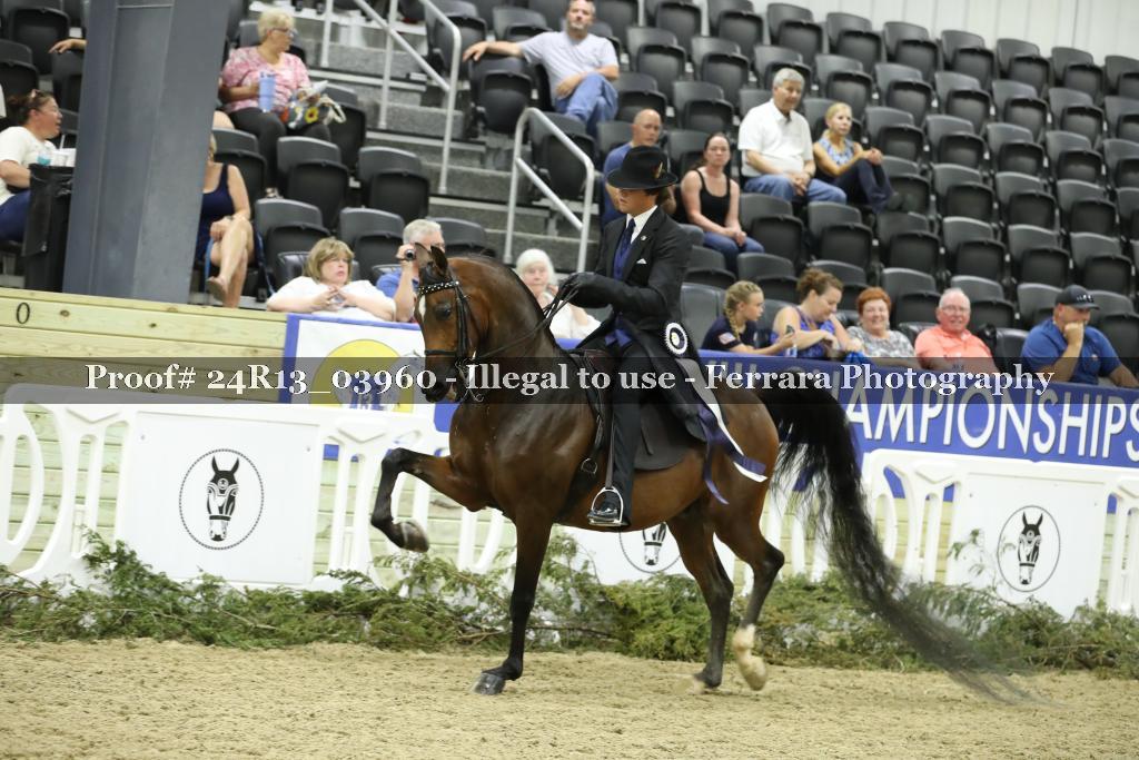 Proof 24R13_03960