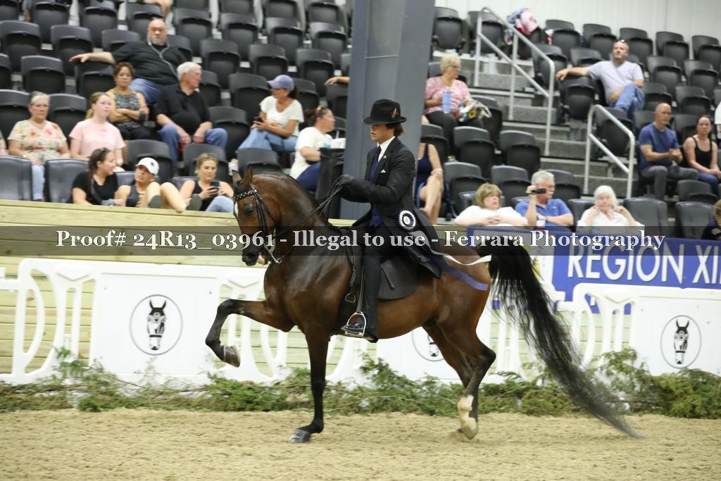 Proof 24R13_03961