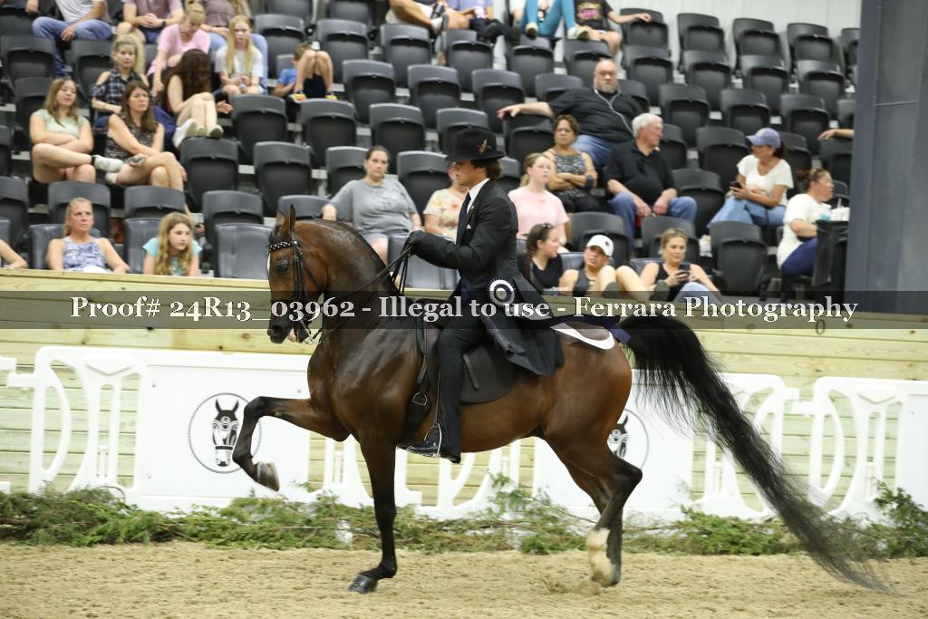 Proof 24R13_03962