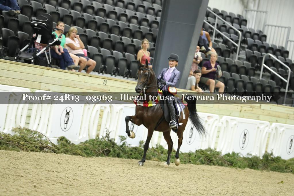 Proof 24R13_03963