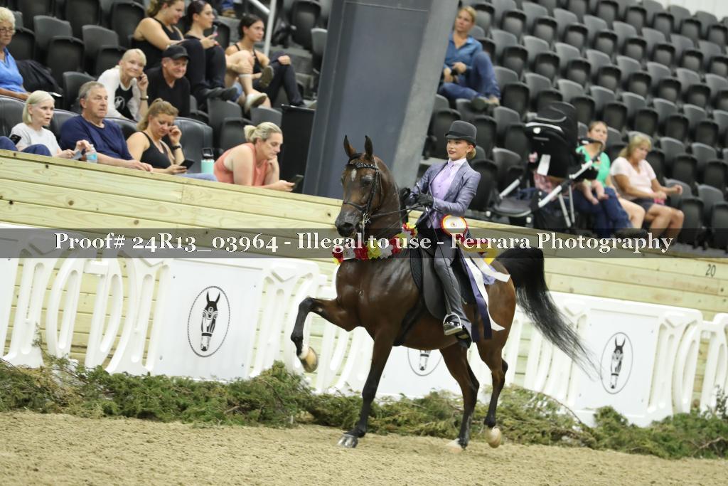 Proof 24R13_03964