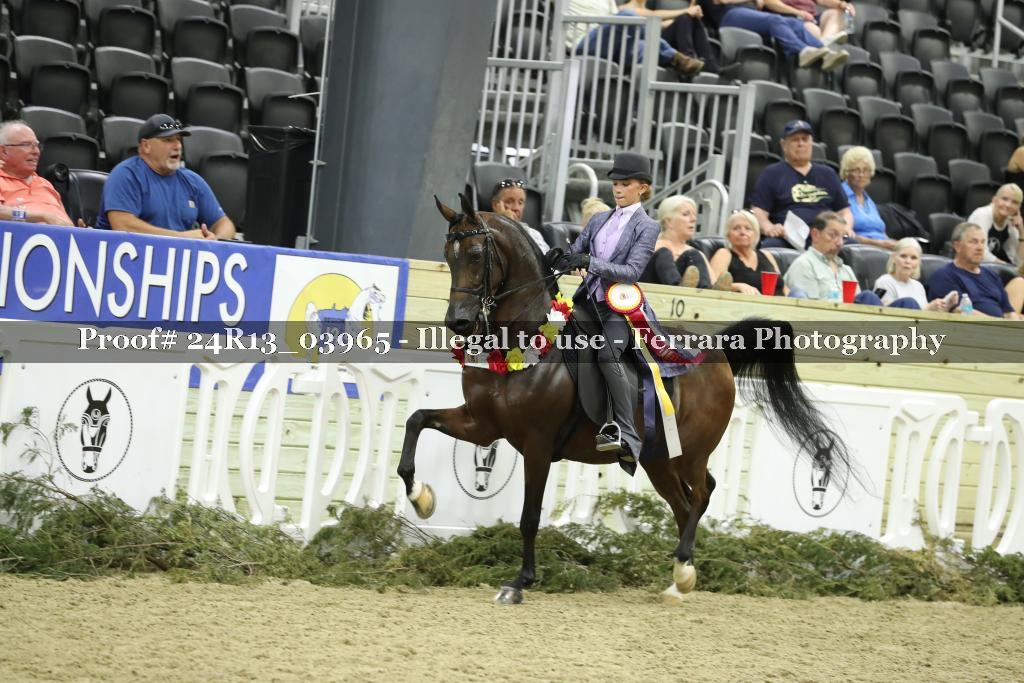 Proof 24R13_03965