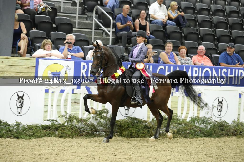 Proof 24R13_03967