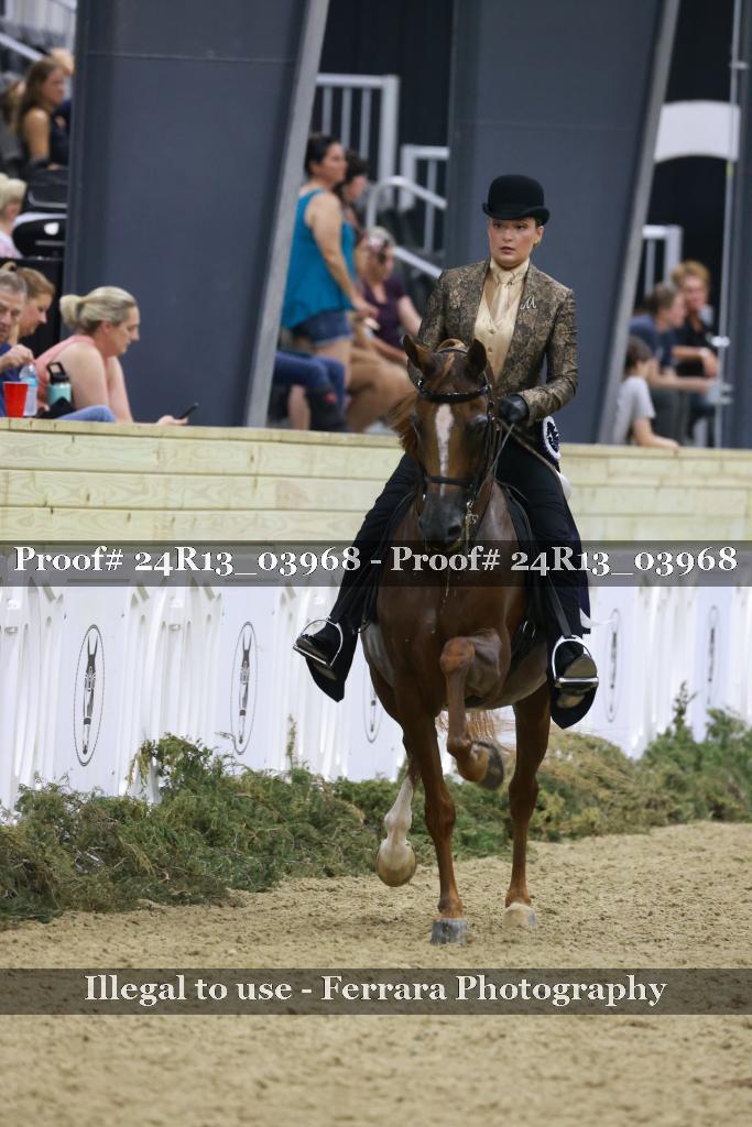 Proof 24R13_03968