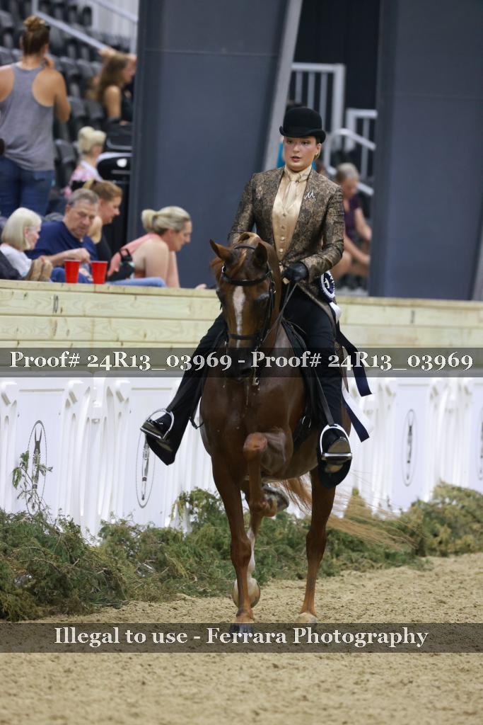 Proof 24R13_03969