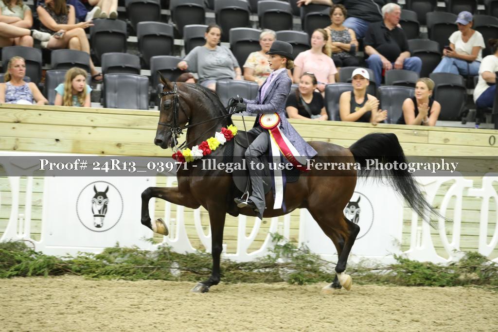 Proof 24R13_03971