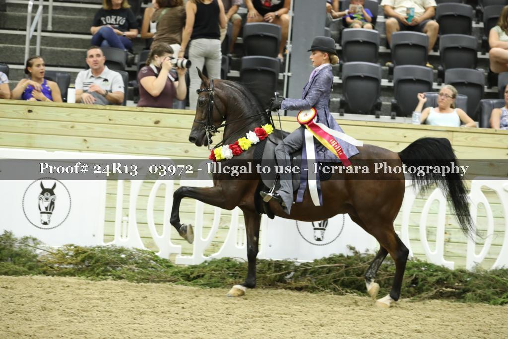 Proof 24R13_03972