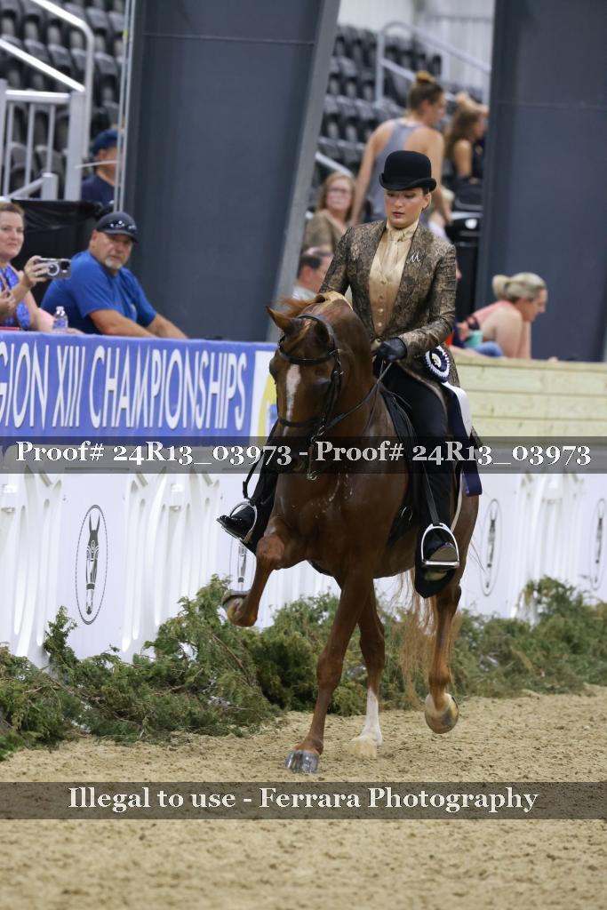 Proof 24R13_03973