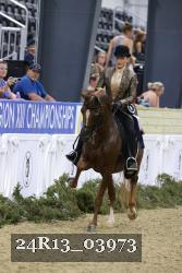 24R13_03973 proof