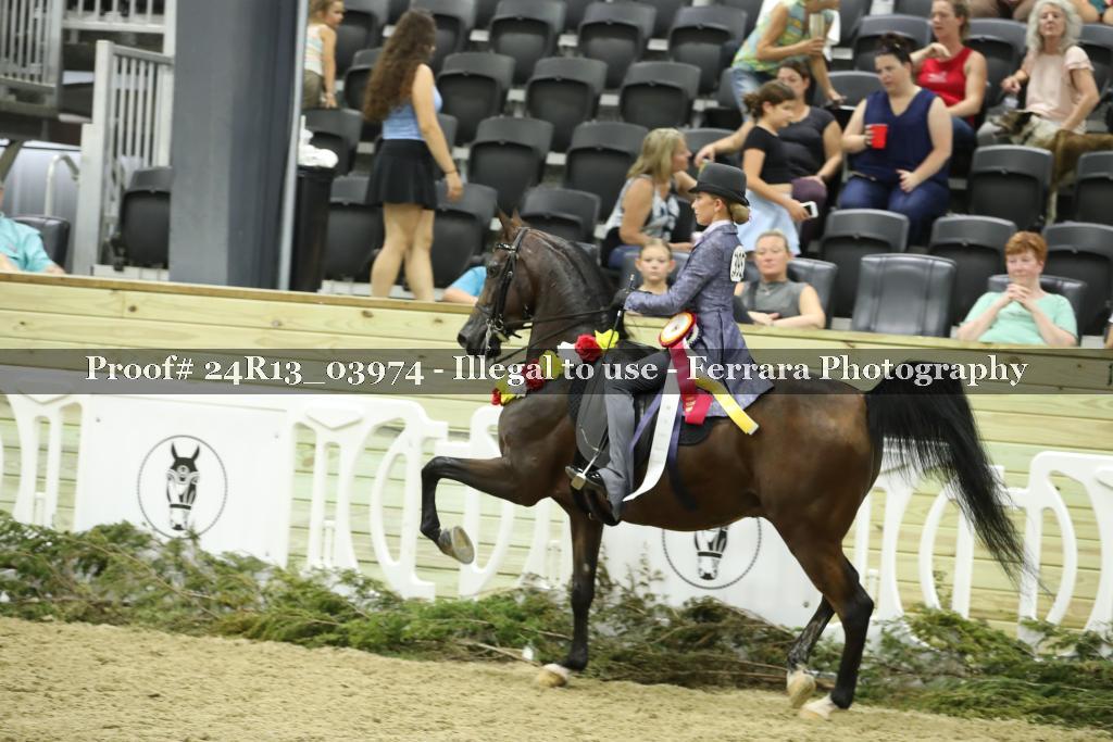 Proof 24R13_03974