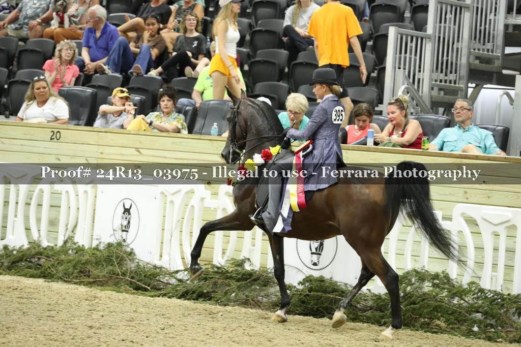 Proof 24R13_03975