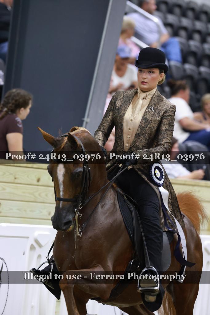 Proof 24R13_03976