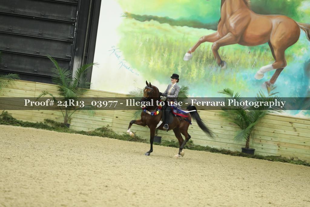 Proof 24R13_03977
