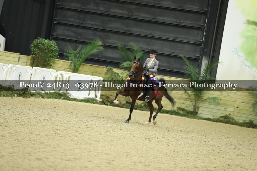 Proof 24R13_03978