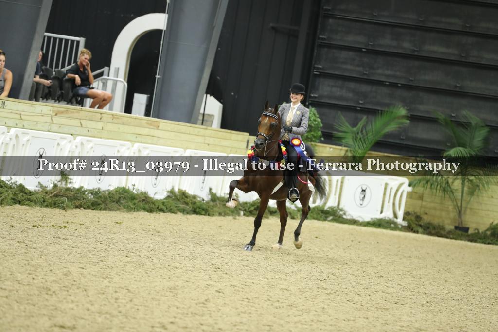 Proof 24R13_03979